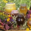 Какой бывает мёд Проверка качества мёда Хранение мёда С каких цветов собирается мед