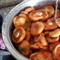 Оригинальный рецепт вкусных грибов в томатном соусе Подберезовики в томатном соусе на зиму рецепты